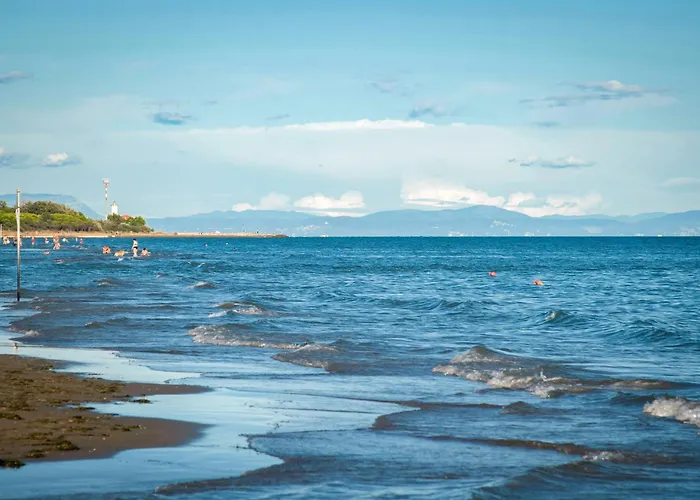 Apartment With Pool In 54388